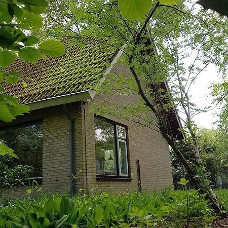 Vechtdalhuisje 17 ออมเมิน ภายนอก รูปภาพ