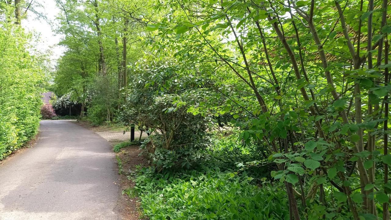 Vechtdalhuisje 17 ออมเมิน ภายนอก รูปภาพ