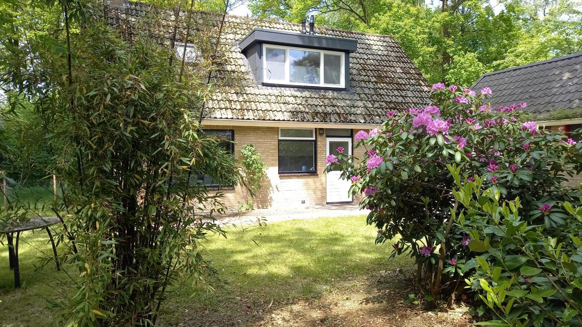 Vechtdalhuisje 17 ออมเมิน ภายนอก รูปภาพ